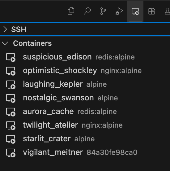 Remote development containers in Erdos